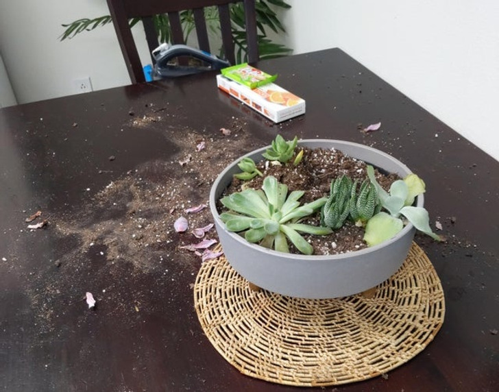 feca7f50649ffe2bd23d058931 feca7f50649ffe2bd23d058931