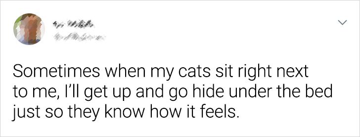 fecb105da5ba2b993239c950d8