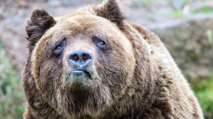 fed15a5ec69bf8ed2e6f107282