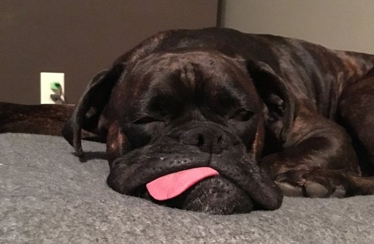 fed3dd55c5a351c94effed6635