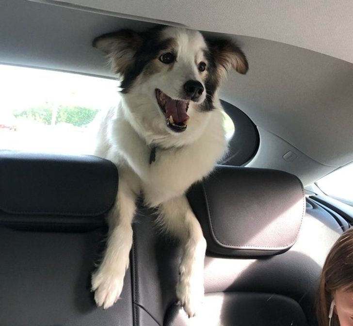 fedba65e3c8481e9d225bea599