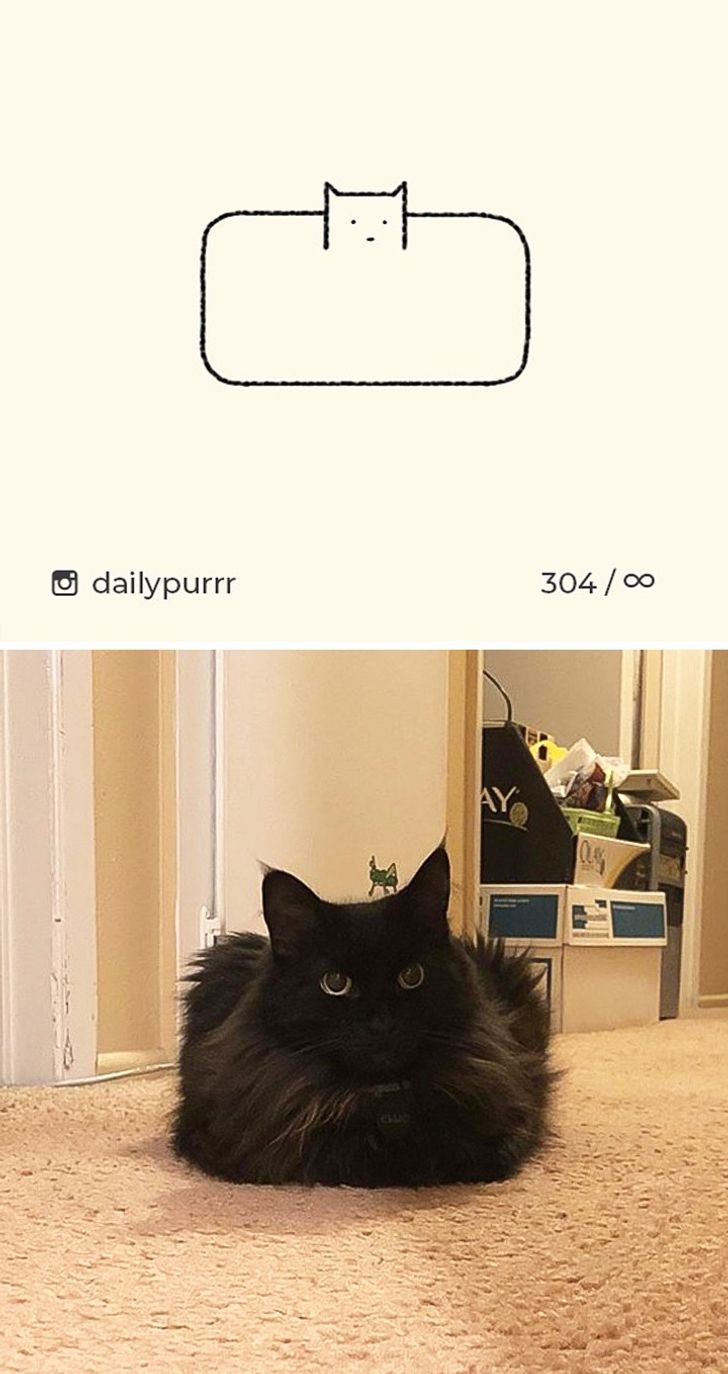 fedcdd52b0bf481b14dbd4ac6d