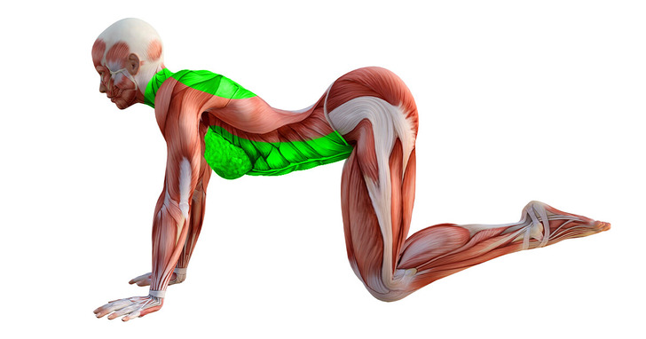 fee3f7532cac210d81c3799e10