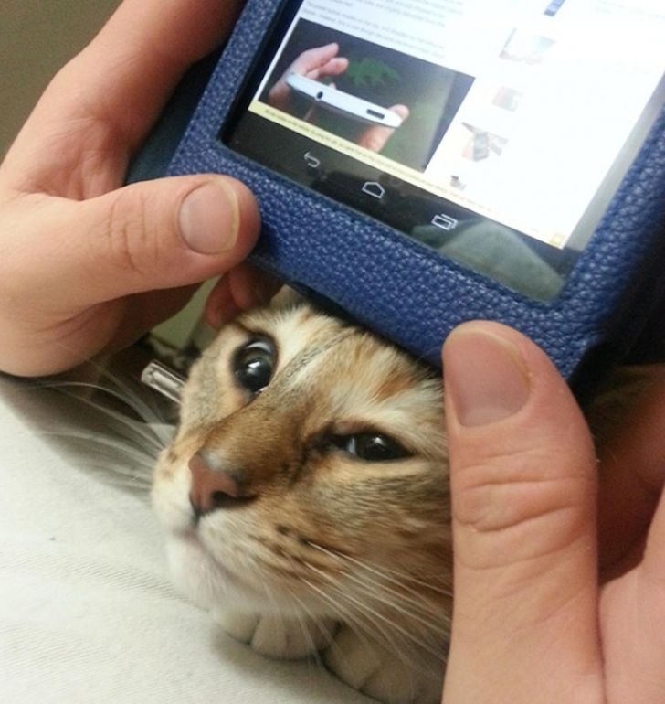 fee57f5a7c8bbfac64e40d22fe