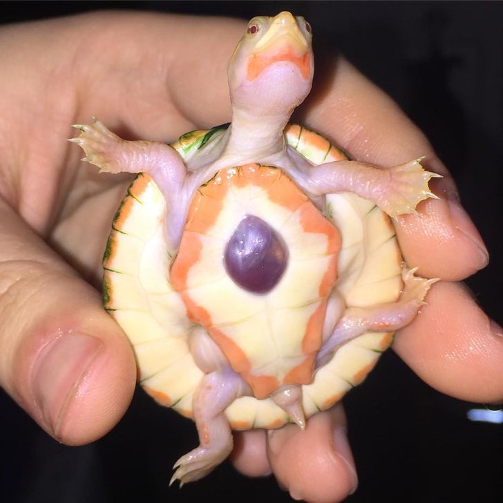 fee8055880b7f947e5505c04b2