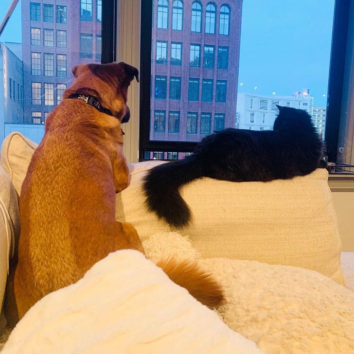 fee9a75a20ab4024714b84f2bb