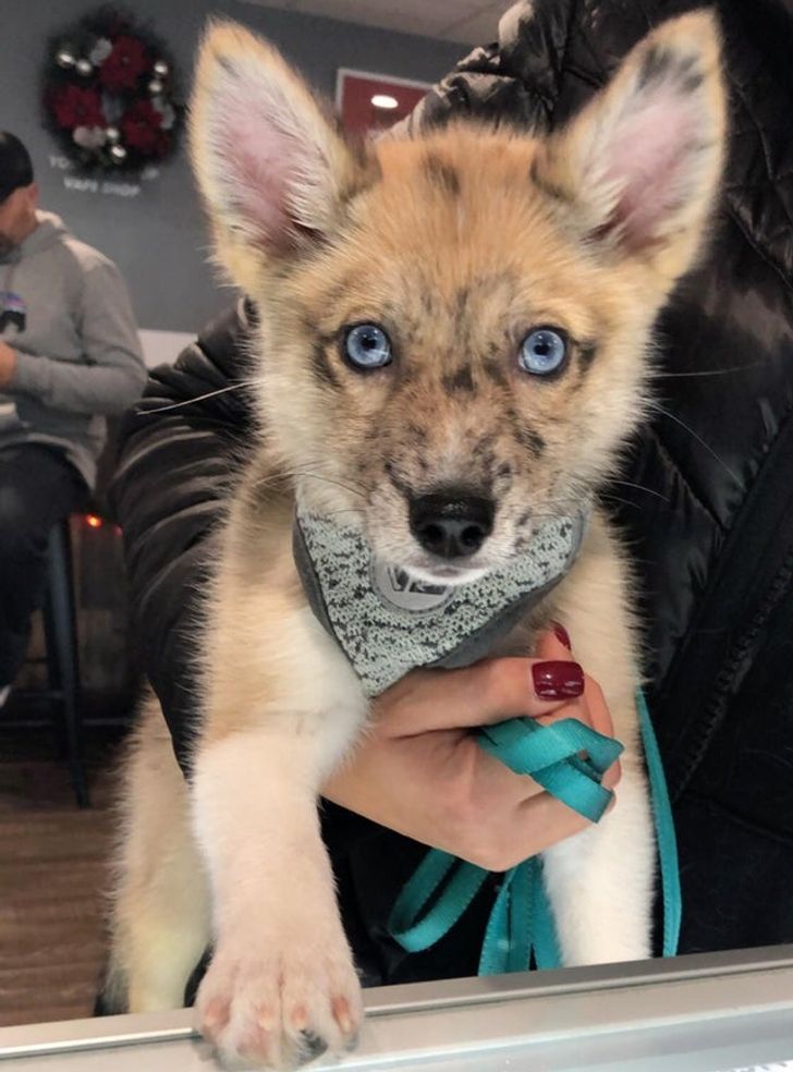 fef54e589c9e07dfb0aa921432