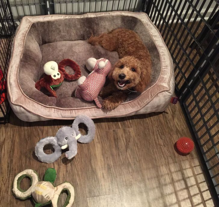 fef832527bbcfe2cdbfc7fc996