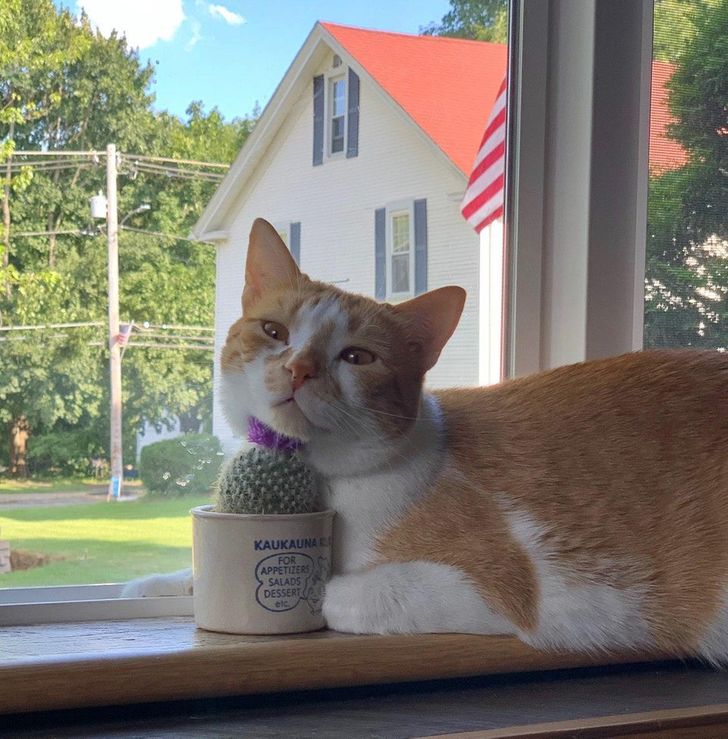 fef90853c69ce5deba5c1331ff