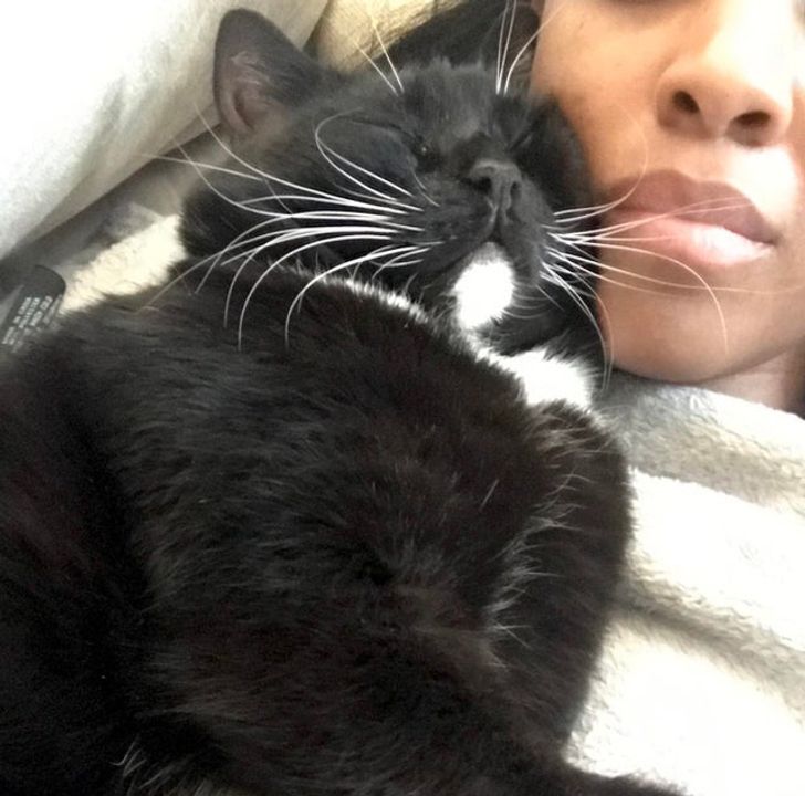 ff01685ad3805c34e6896a0d97