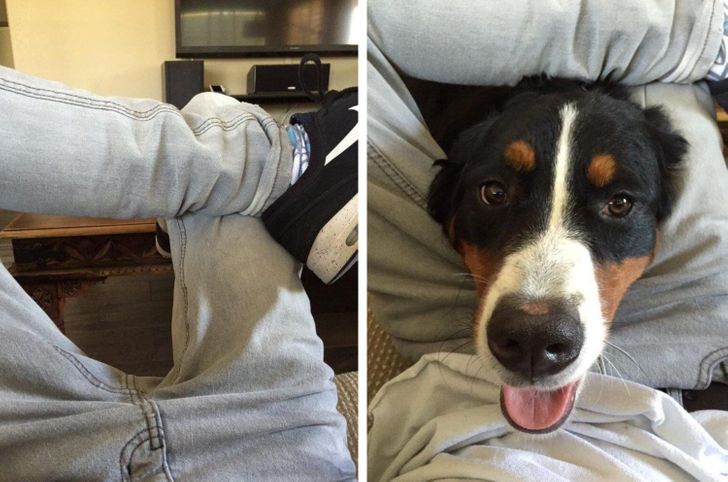 ff03db5e7db30c974d7bd16db1