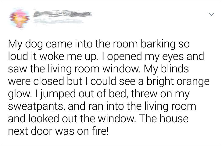 ff0c165ddabe1f68e78301bb71