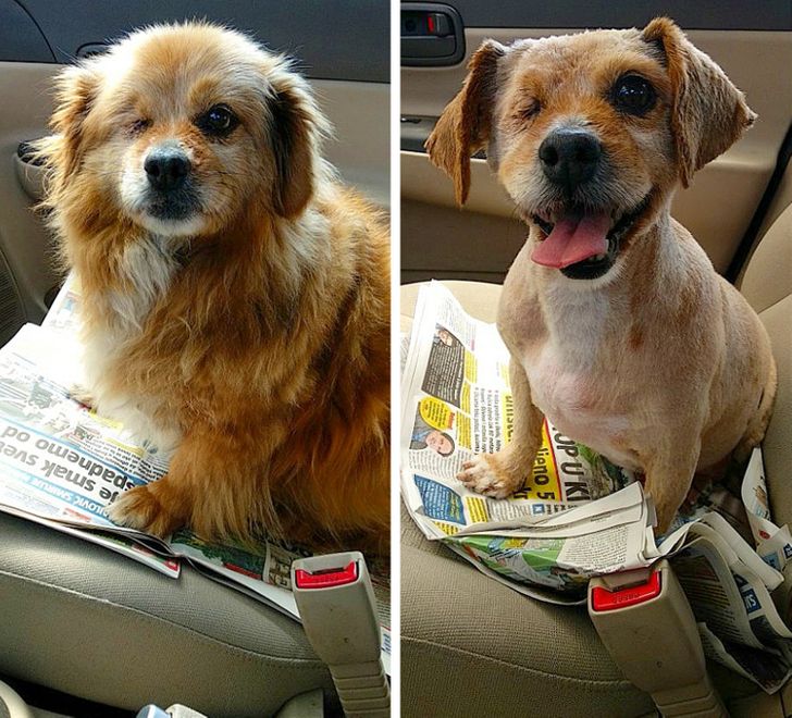 ff137456739a7ec94e59a2a286