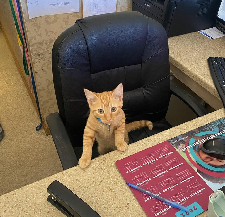 ff13b75cb298e148f8cb6f3fa0 ff13b75cb298e148f8cb6f3fa0