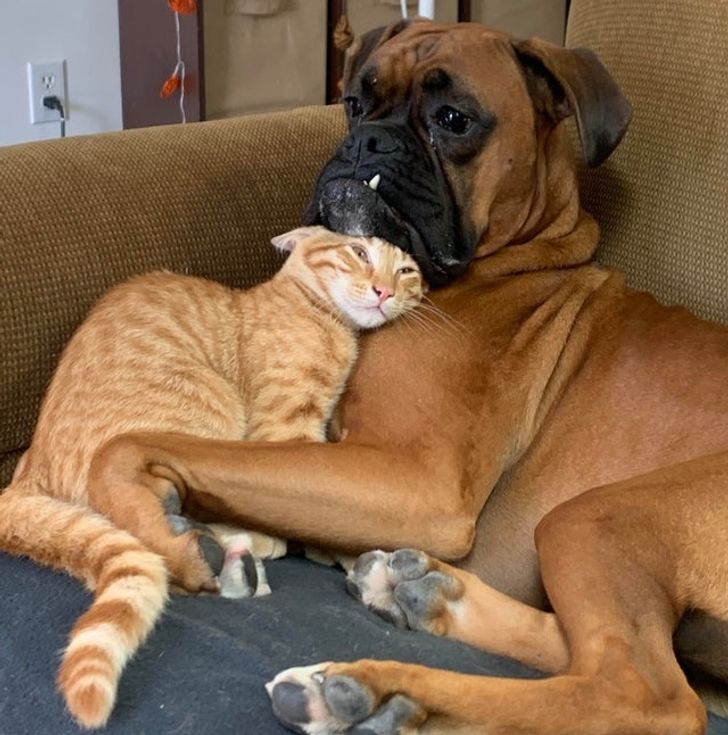 ff15d15f74a5224173d1345f91