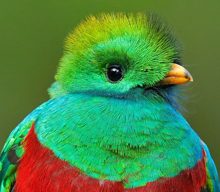 ff17d85bfbb335792fa62e6374