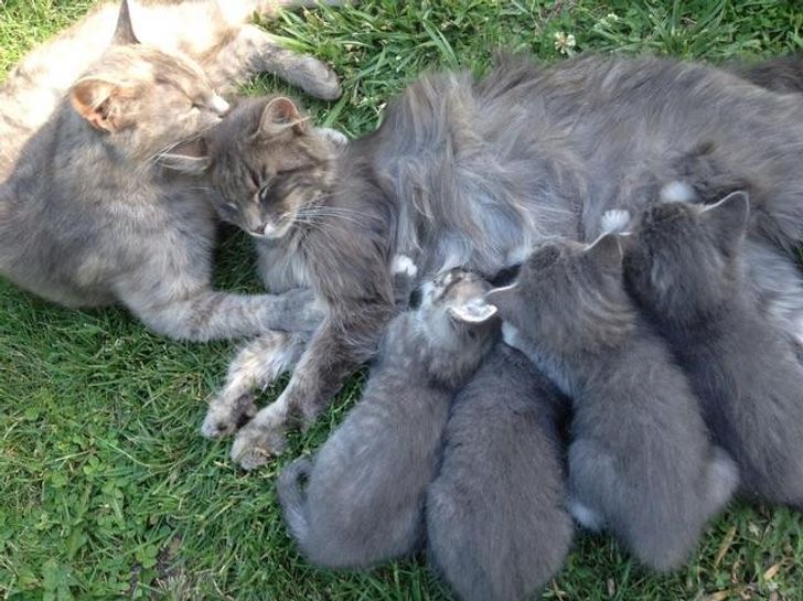 ff23675424877514144bffab08