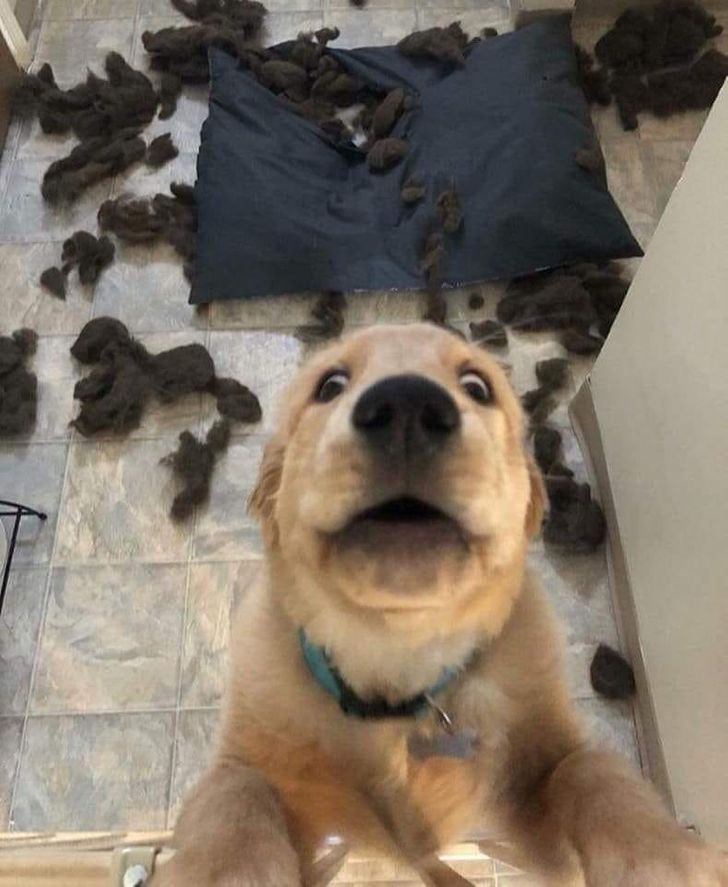 ff2dfc51d38eb60afcbd827b4d