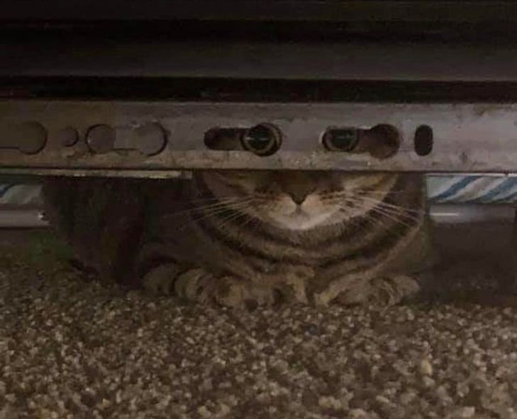 ff341d5ea688822a1a8bef332c