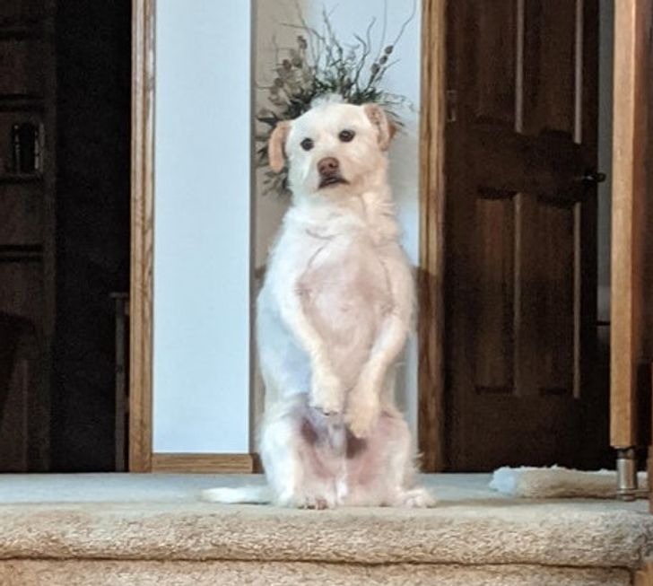 ff3ed657dbae6fca842ffdcdb8