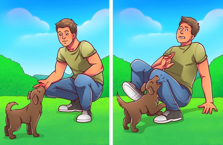 ff49425c31a904aedf06903829