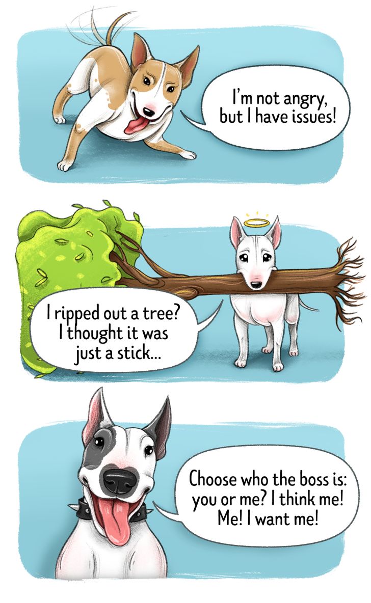 ff4c1d5db29c14b9bd1117ca3e ff4c1d5db29c14b9bd1117ca3e