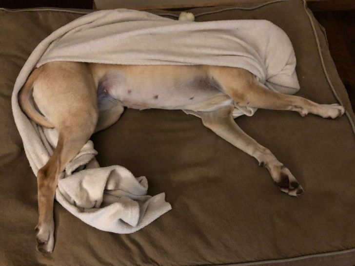 ff502358f9b12122d30352c514