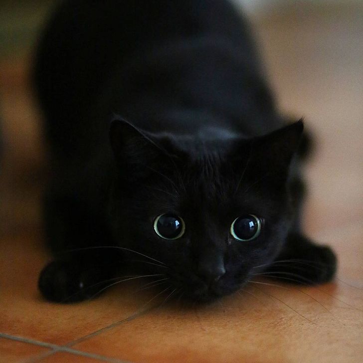 ff50d95d289a41ea9c1610dd0a