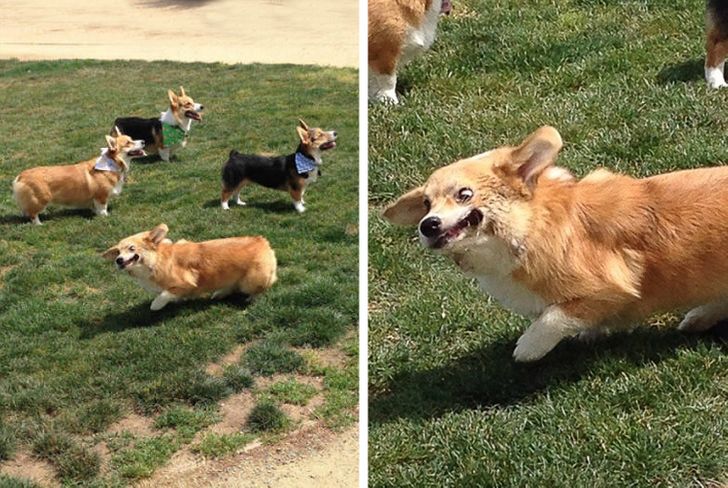 ff5945582bb5dbd80cd2988df5