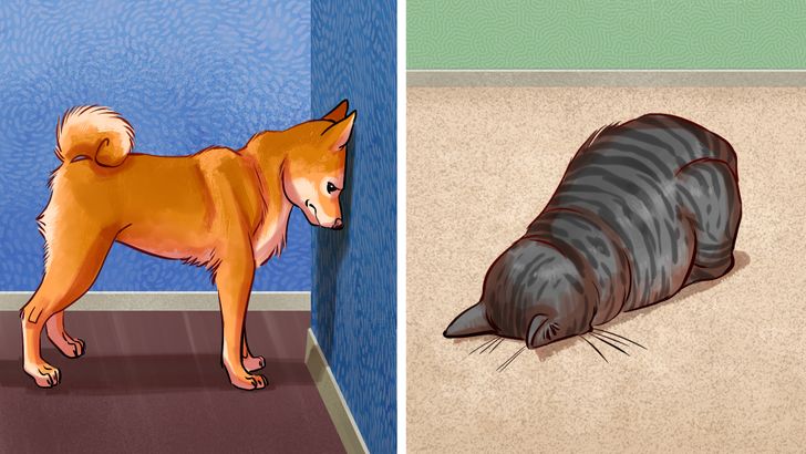 ff5f83584a92777638d2809117