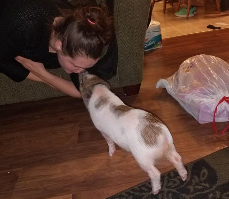 ff632856ba9bcbbfebf843c177