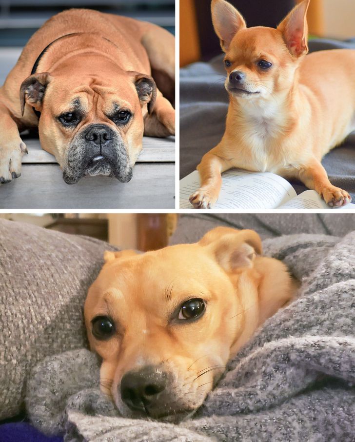 ff666d50a49cde42e36794e498