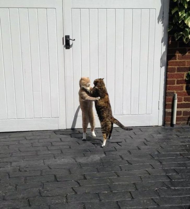 ff6f0356d28662805cddccd397