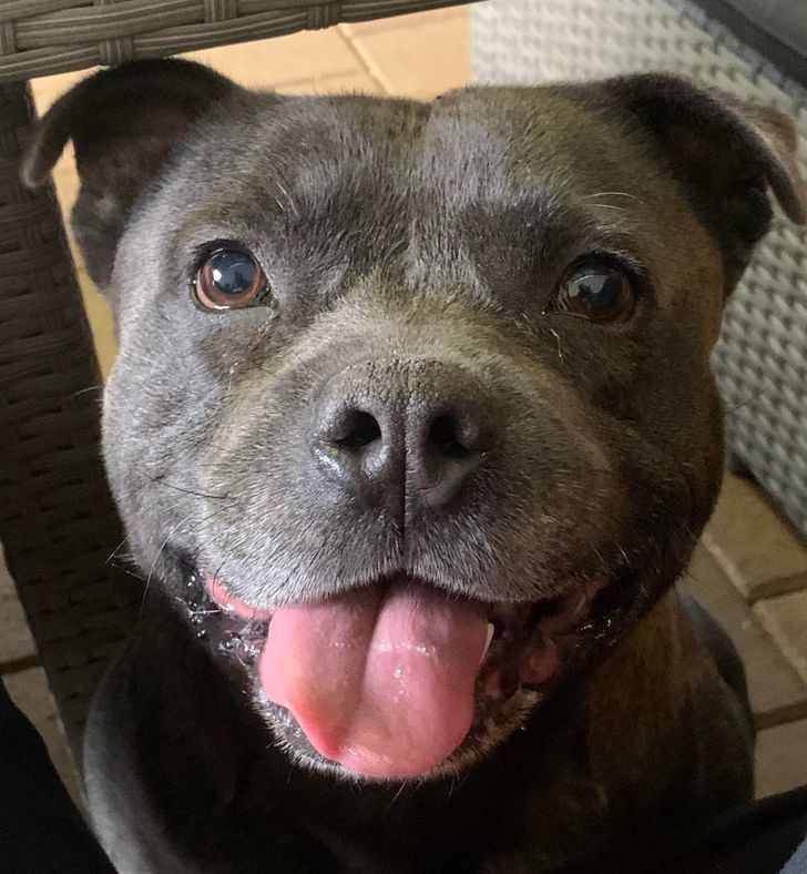 ff70d05052b7b208f51b061a15