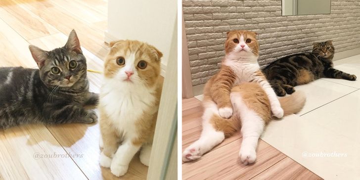 ff78f55f0da6f4223044cea863