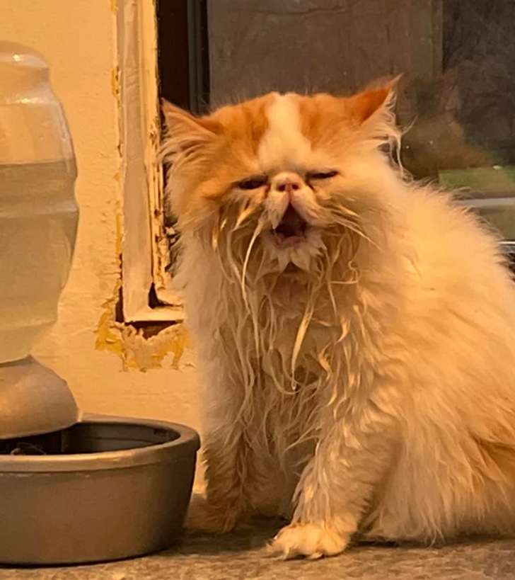 ff7e79522592815aef62312f2d