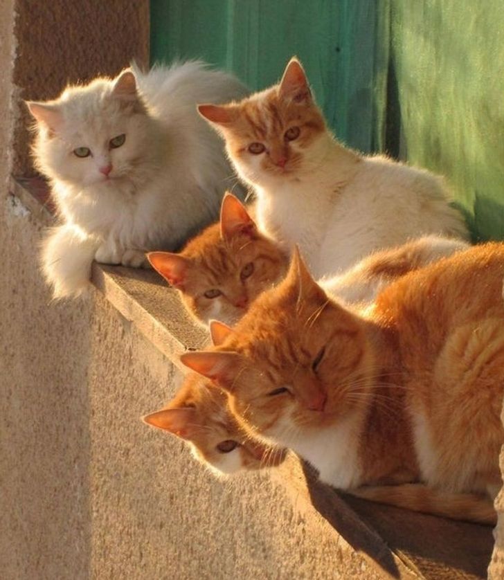 ff8054524887c2765107303cfd