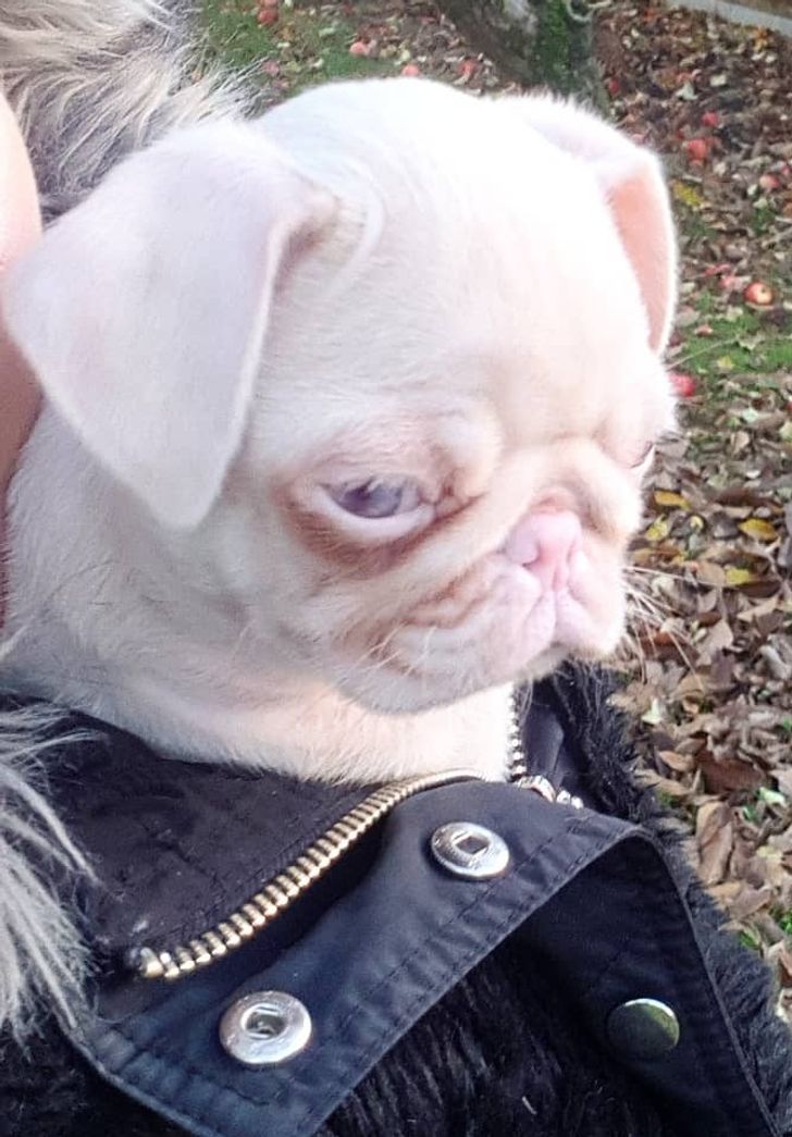 ff808c5bd59114a8fba0692f82