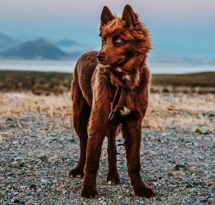 ff8670548a974e5a777e28a42f