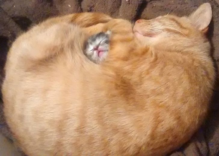 ff8bfc5b778a55778b13fc9f26