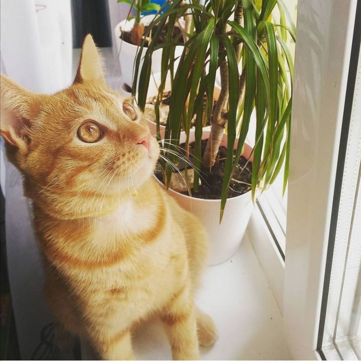 ff91eb507dbec4377a8bb6db4e