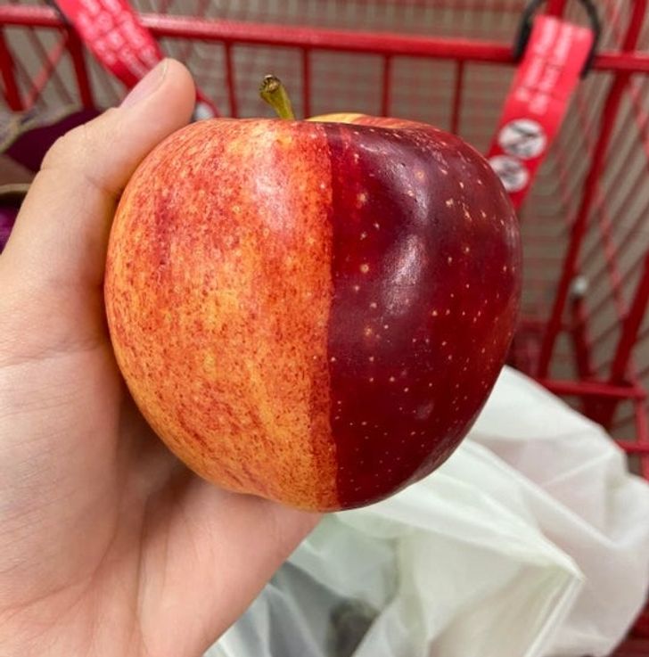 ff92ff53acbd91588983a36972