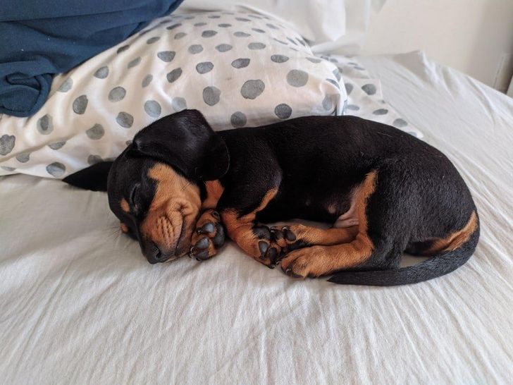 ff9a205a57988cd7e0130bde22