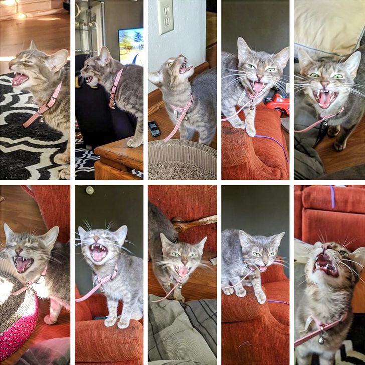 ff9cac5a9e888d4c0f6d7f3a11