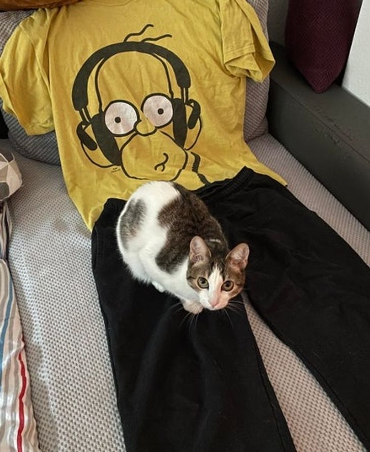 ff9d525c5aa4dfd47cbc4a2739