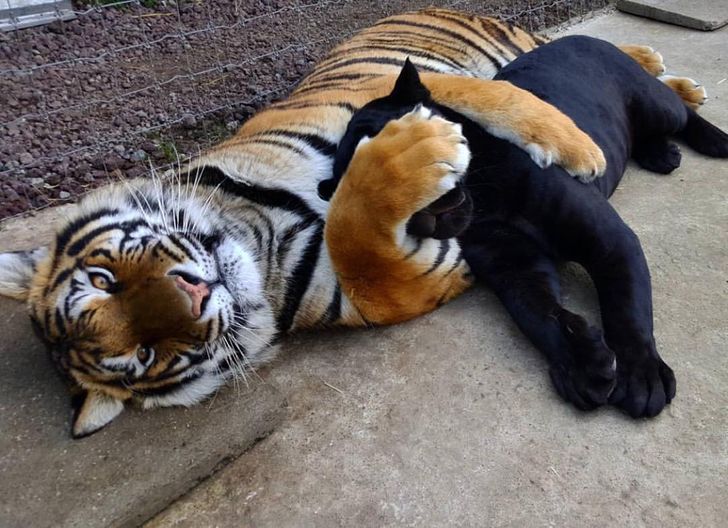 ffa3225c16a39e12628c5148ea