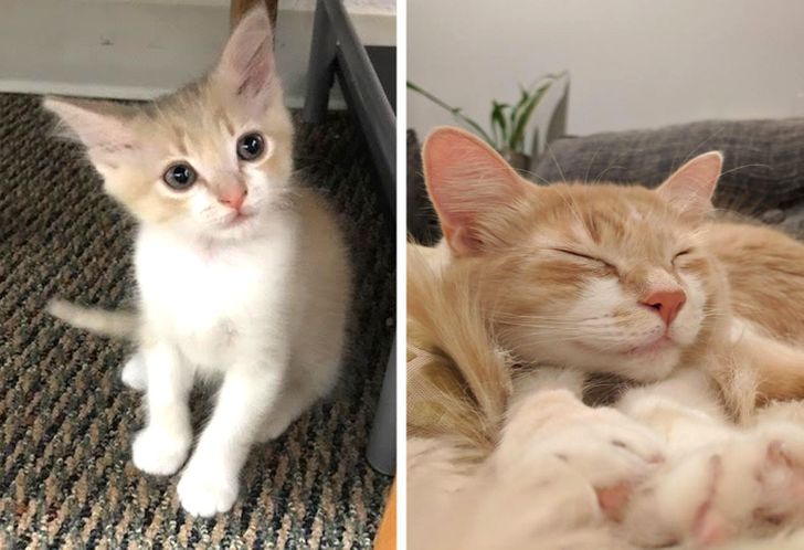 ffa7fb55bda22deb3644166f5e