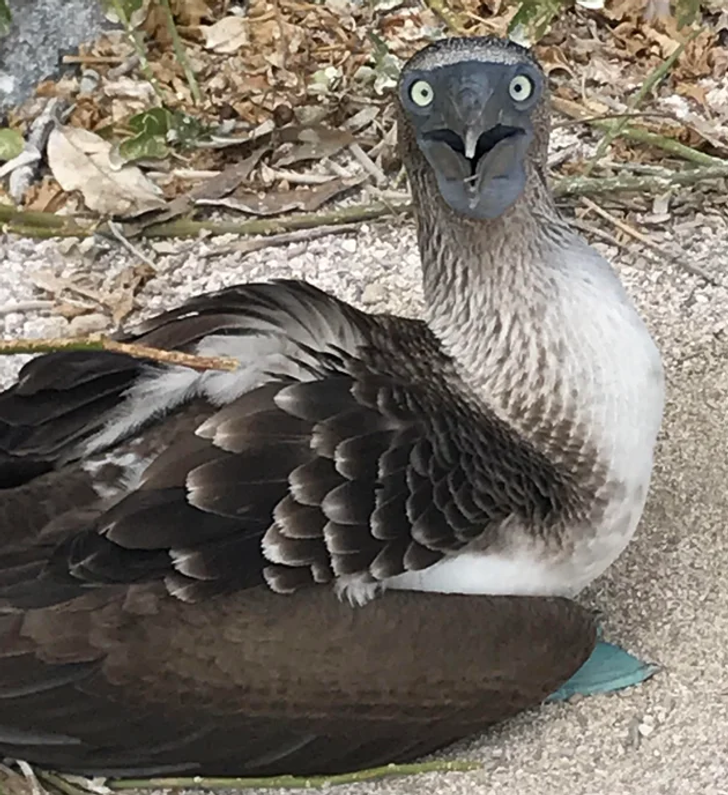 ffaa55534fbdaa36bc2e3be9a1