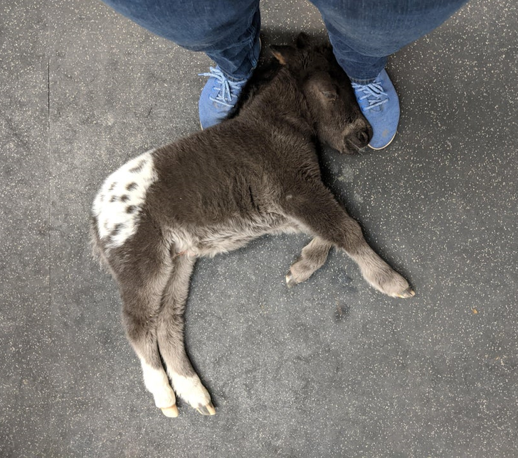 ffaef75d30b6e8211e4510c008