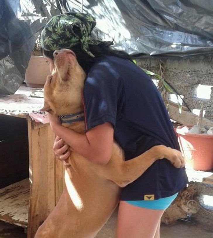 ffb0db5710b236ffa46712ea8a